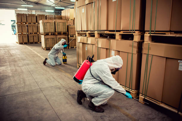 Best Pest Inspection Near Me  in Colonial Heights, TN