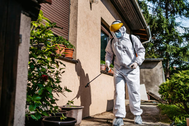 Trusted Colonial Heights, TN Pest Control Experts