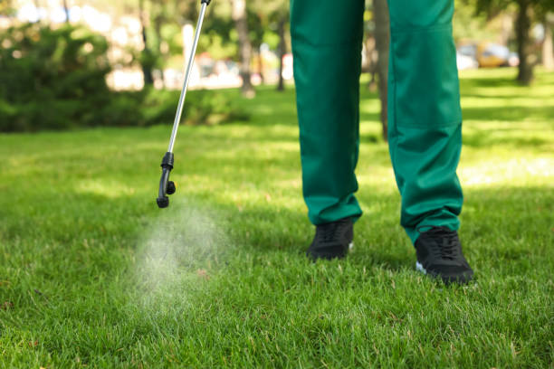Bird Control in Colonial Heights, TN