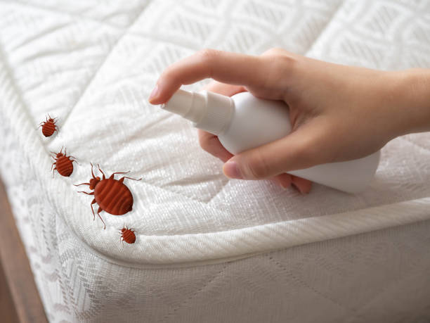 Best Commercial Pest Control Services  in Colonial Heights, TN