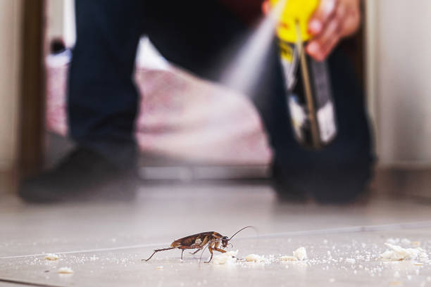 Best Cockroach Control Services  in Colonial Heights, TN